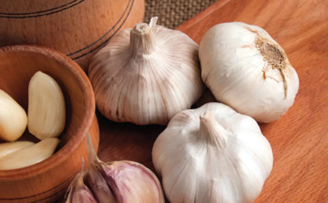 Dünyanın en iyi sarımsakları listesinde Araban sarımsağı ilk 5'e girdi