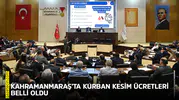 Kahramanmaraş’ta kurban kesim ücretleri belli oldu