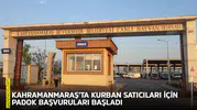 Kahramanmaraş’ta kurban satıcıları için Padok başvuruları başladı