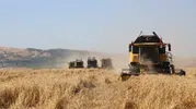 TİGEM Türkiye'nin bütün hububat tohumunu tek başına üretebilecek kapasitede