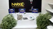 Adana'da uyuşturucu operasyonunda yakalanan 4 zanlı tutuklandı