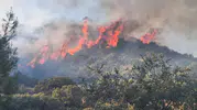 Kaş’ta makilik alanda yangın! Ekipler alevlere müdahale ediyor