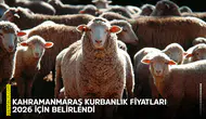 Kahramanmaraş kurbanlık fiyatları 2026 için belirlendi