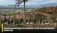 Kahramanmaraş’ta karbon yutak alanı projesi sürüyor
