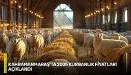 Kahramanmaraş’ta 2026 kurbanlık fiyatları açıklandı