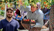 Çilek üretimini yapay zekayla buluşturan genç, ilk hasadıyla ihracata açıldı