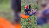 Mantar toplarken ayının saldırısına uğradı!
