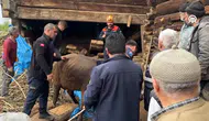 Ahır çöktü! Enkaz altında kalan kadın hayatını kaybetti