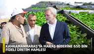 Kahramanmaraş’ta Maraş Biberine 650 bin fideli üretim hamlesi