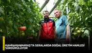 Kahramanmaraş'ta seralarda doğal üretim hamlesi sürdürülüyor