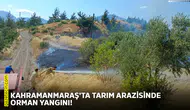 Kahramanmaraş'ta tarım arazisinde orman yangını!