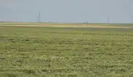 Dicle Üniversitesi yerleşkesinde petrol için 6 sondaj kuyusu açılacak