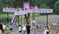 Osmaniye'de Lavanta ve Zeytin Çiçeği Festivali düzenlendi