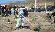 Orman yangınında zarar gören alana 1000 fidan dikildi