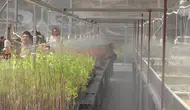 Geleceğin çiftçileri lisedeki tarımdaki yenilikleri öğreniyor