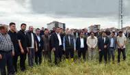 TZOB Genel Başkanı Bayraktar, zarar gören tarım arazilerini inceledi