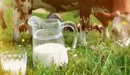 Türkiye süt üretiminde Avrupa'da 3. sırada