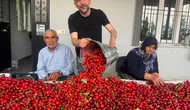 Türkiye'nin bu yılki kiraz ihracatında artış beklentisi