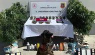 Narko Pars operasyonlarında 352 şüpheli yakalandı