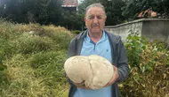 Çiftçi, bahçesinde 3 kilo 470 gram mantar buldu