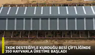 TKDK desteğiyle kurduğu besi çiftliğinde 350 hayvanla üretime başladı