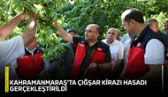 Kahramanmaraş'ta Çığşar kirazı hasadı gerçekleştirildi