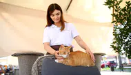 Esnafın evi ve iş yeri sahipsiz kedilerin güvenli limanı oldu