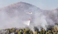 Milas'ta ormanlık alanda yangın! 1120 kişi tahliye edildi