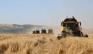 TİGEM Türkiye'nin bütün hububat tohumunu tek başına üretebilecek kapasitede