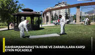 Kahramanmaraş’ta kene ve zararlılara karşı etkin mücadele