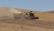Güneydoğu'da biçerdöverler hububat ve bakliyat hasadı için tarlada
