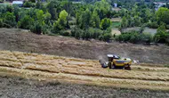 Kastamonu'da "buğdayın atası" siyezin hasadına başlandı