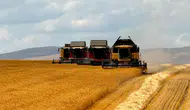 Anadolu Tarım İşletmesinde buğday hasadı tamamlanıyor
