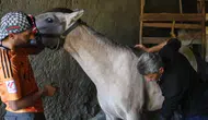 Dede yadigarı at yetiştiriciliğini şampiyonluklarla yaşatıyorlar