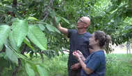 Ziraat mühendisi ve eşinin kurduğu kiraz bahçesi üreticilere örnek oldu