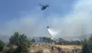Çanakkale'de ormanlık alanda yangın!