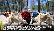 Kahramanmaraş'ta sahipsiz hayvanlar için 195 dönümlük doğal yaşam alanı