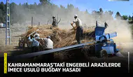 Kahramanmaraş'taki engebeli arazilerde imece usulü buğday hasadı