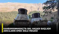Kahramanmaraş’ta bal hasadı başladı! Arıcıların emek dolu mesaisi