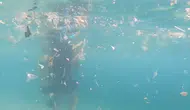 Güney rüzgarları Akdeniz kıyılarına atık taşıyor