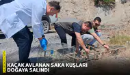 Kaçak avlanan saka kuşları doğaya salındı