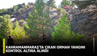 Kahramanmaraş'ta çıkan orman yangını kontrol altına alındı