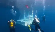Saros Körfezi'ne yeni resifler bırakıldı