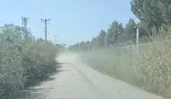 F-16 uçağı eğitim uçuşu sırasında kaza kırıma uğradı