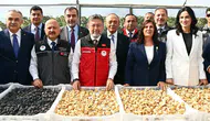 Türkiye, dünya incir üretiminde yüzde 28'lik oranla birinci sırada