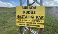 Kuduz vakası nedeniyle bir bölge karantinaya alındı