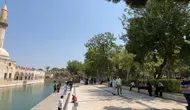 Şanlıurfa'da termometreler 46 dereceyi gösterdi