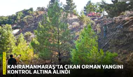 Kahramanmaraş'ta çıkan orman yangını kontrol altına alındı