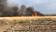 Güneydoğu'da anız yangınlarıyla mücadele sonuç veriyor