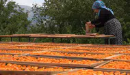 İsrafın önüne geçti, kuru meyvelerle ihracata gözünü dikti